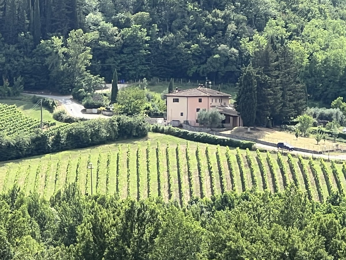 MBK_tweet's tweet photo. @JamesLucasIT Chianti June 2024 https://t.co/SV6jaJe57k