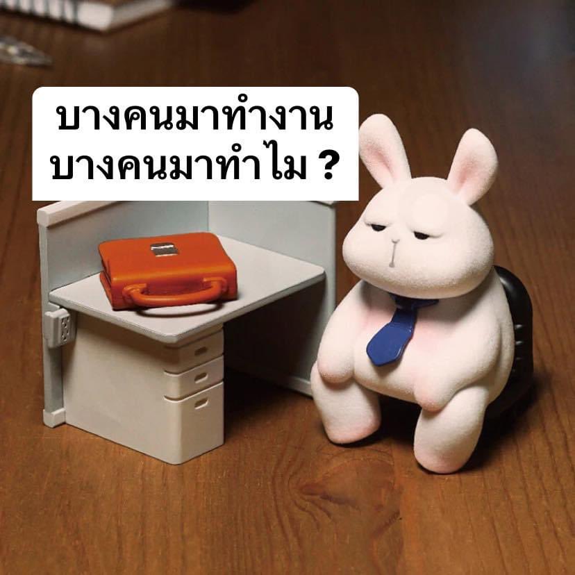 •บาร์จเฉยๆ• tweet media