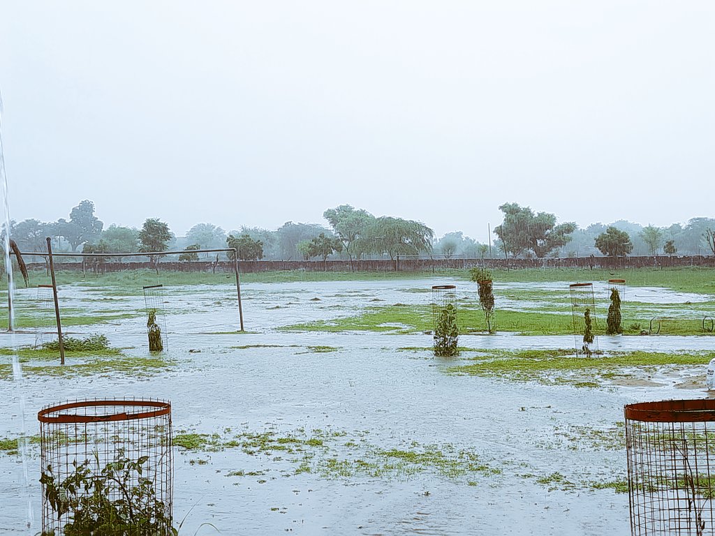 Rajni Choudhary🇮🇳 tweet media