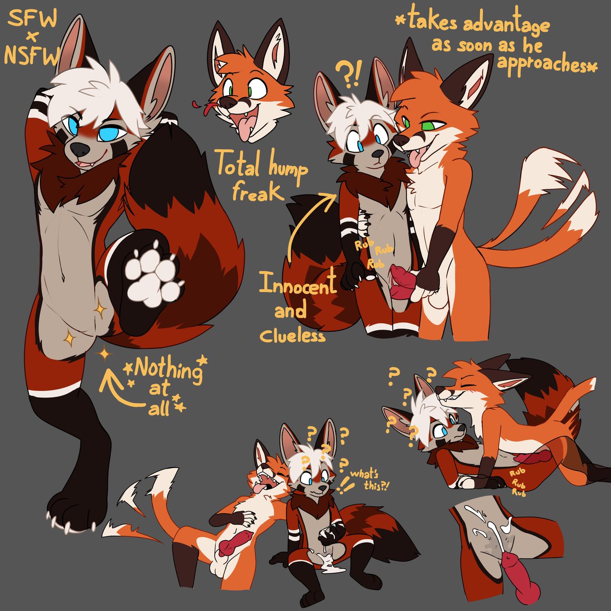 MartyTheFoxthing tweet media