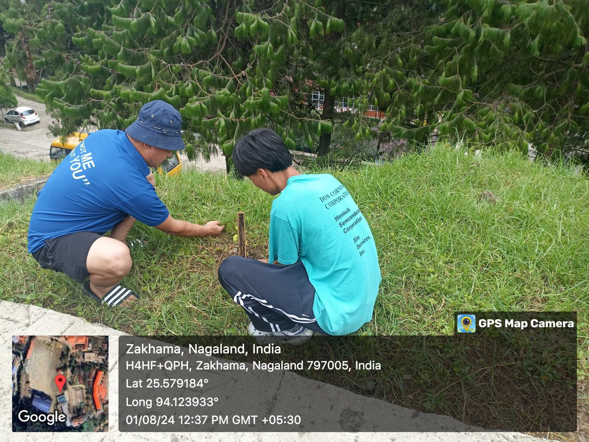 Nsssjc3_jakhama's tweet photo. Volunteers of NSS Unit ,SJC (A) Jakhama cleaning the Trees planted during World Environment Day 2024 at the College Campus on 1st August 2024.
#ProtectTheTrees
#SaveThePlanet https://t.co/qUB2moZrOP