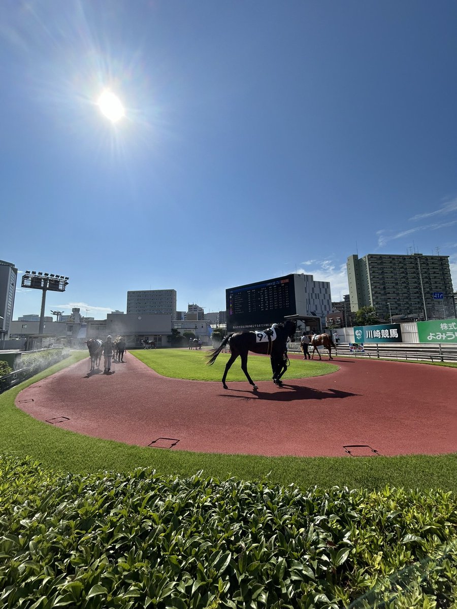 HowatHarry's tweet photo. Kawasaki Keiba🐎 https://t.co/a14Z3Kaa75