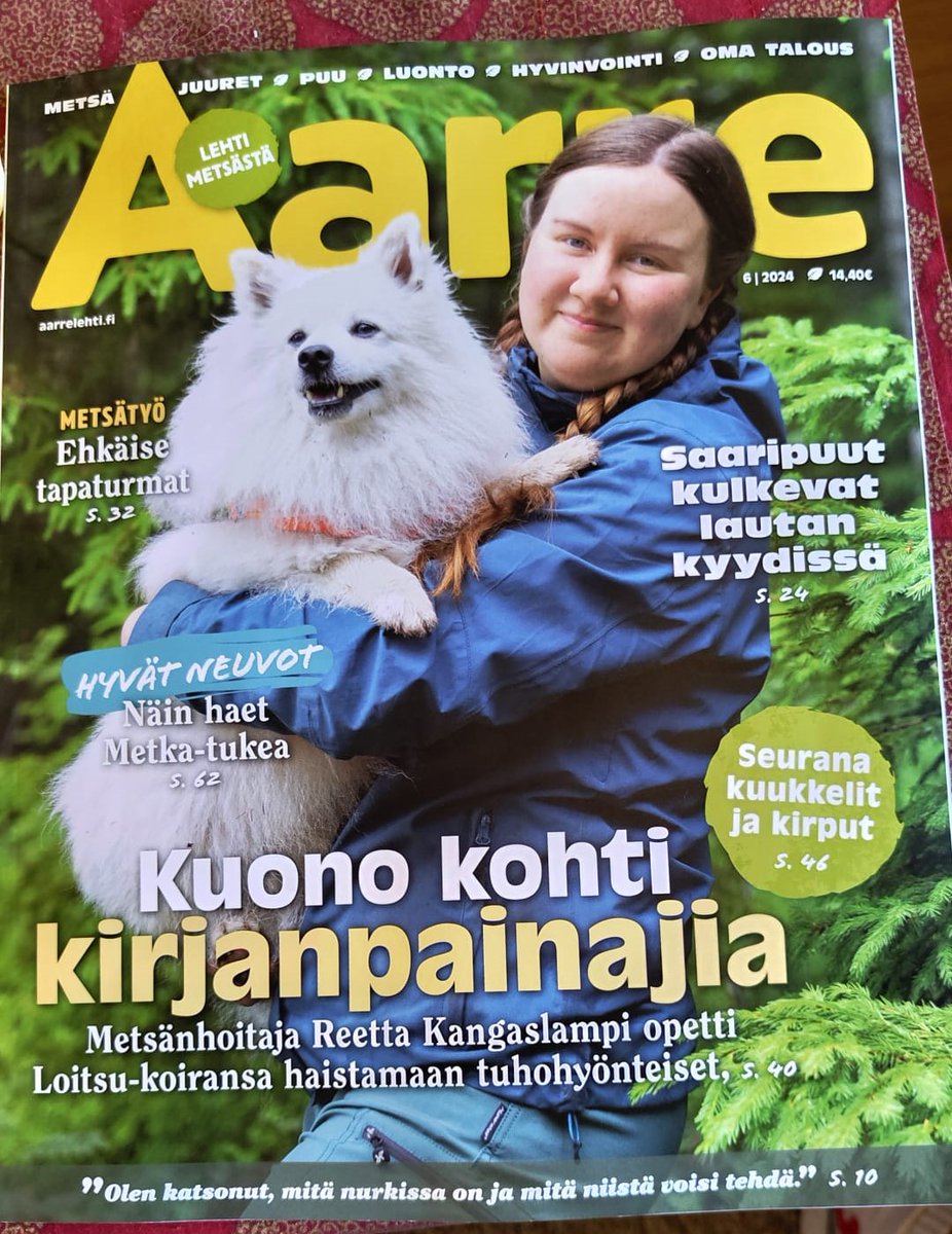 Väitöskirjatutkija Reetta Kangaslampi <a href="/UEF_EntoNet/">UEF Forest Entomology Network</a> <a href="/Forest_sciences/">UEF Forest Sciences</a> tutkii hajutunnistuskoirien käyttöä #kirjanpainaja’n kartoituksessa 🐶👃🪲 Lue lisää Aarre-lehdestä, verkkouutisesta (tilaajille) ja tästä ketjusta! 👇 🔗1/7  maaseuduntulevaisuus.fi/metsa/528b52a8…