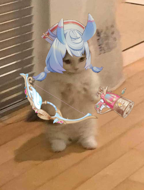 bonjour