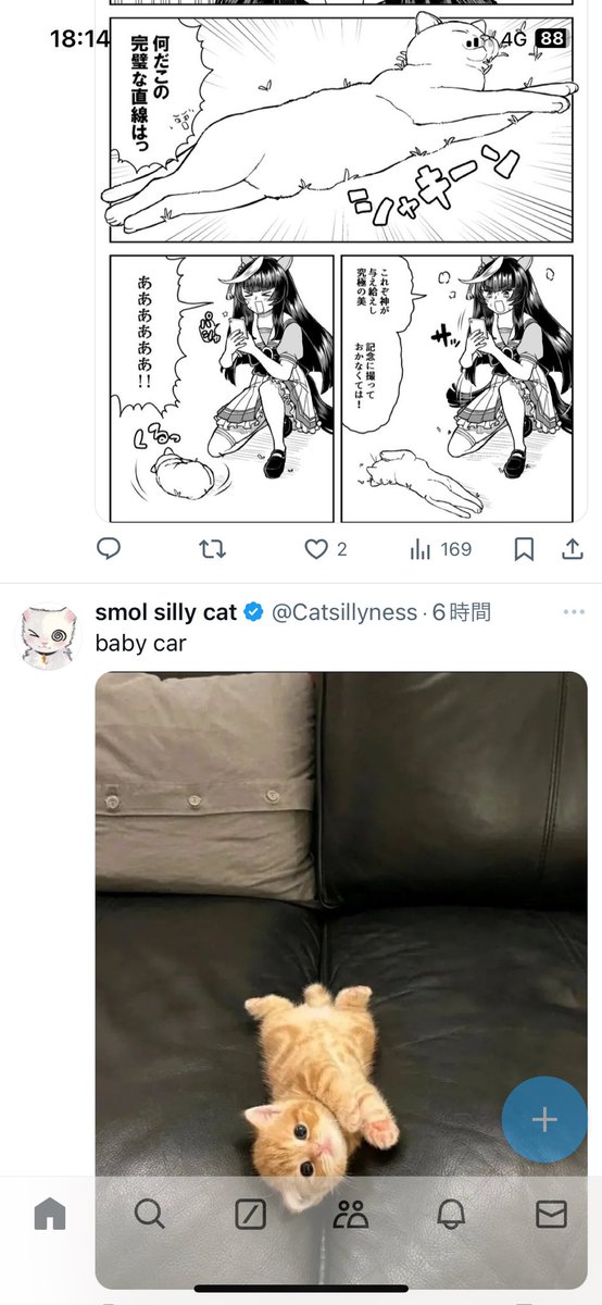 TLの並びで久々にほっこり 