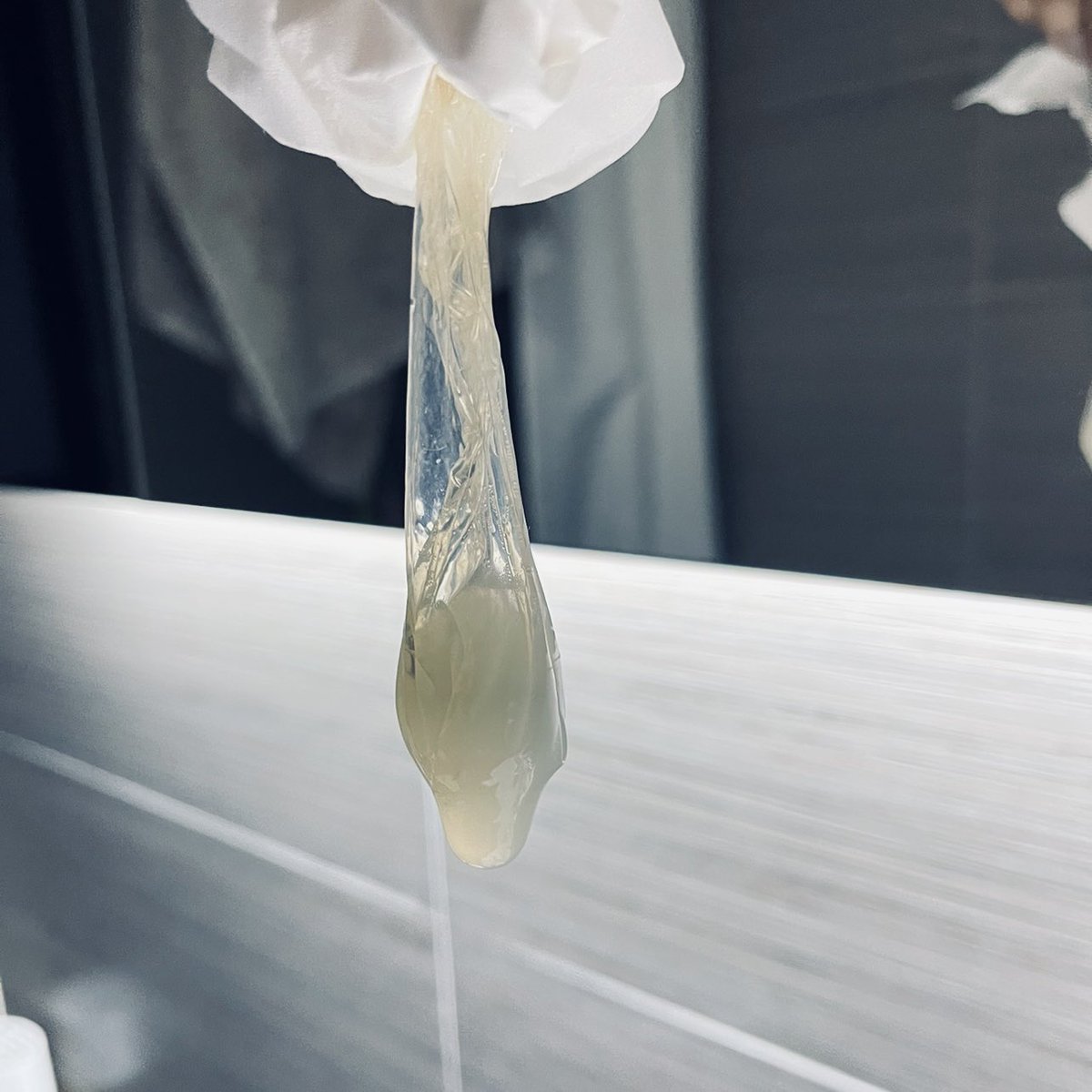 Albert _a tweet media