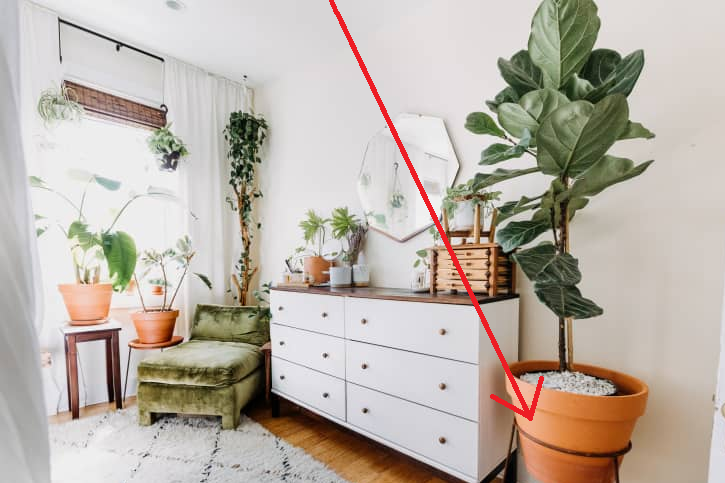 As I have noted on many occasions, the best defence against heatwave duration and intensity in our cities is street trees, rainwater gardens, and lots of depaving, but did you know that unglazed terracotta plant pots are actually passive air conditioning units?

Let me explain...