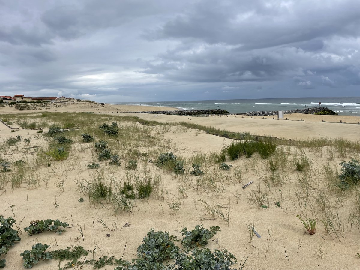📣📷Un nouveau poste CoastSnap à #mimizan dans les @LesLandes40 
Il s’agit de la 6ème station #coastsnap en #NouvelleAquitaine après Lacanau, Capbreton, Saint-Jean-de-Luz, Biscarrosse et La Brée-les-Bains. 
Plus d'infos ⬇️
observatoire-cote-aquitaine.fr/Lancement-de-C…