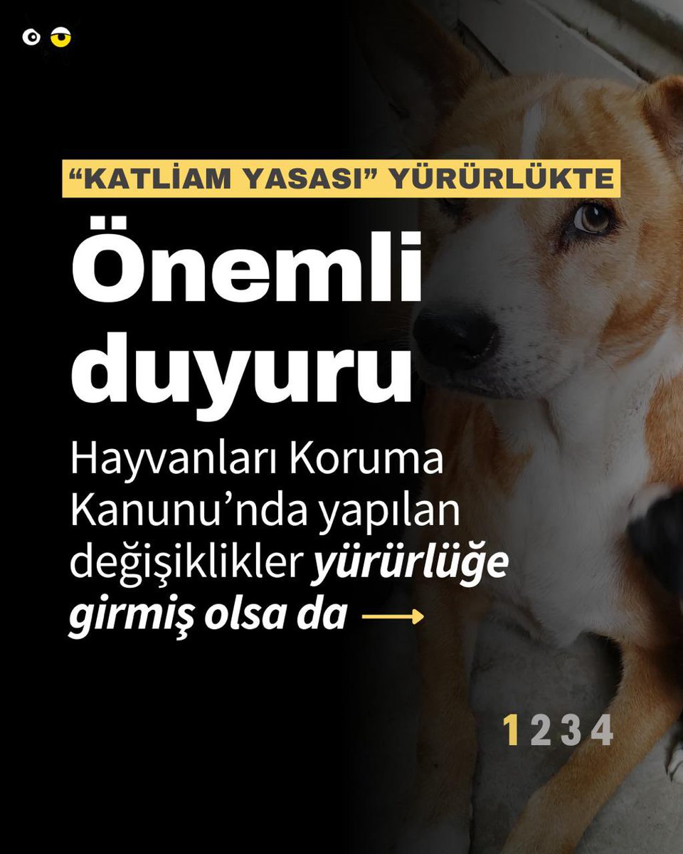 hakim_komite's tweet photo. ÖNEMLİ DUYURU

Hayvanları Koruma Kanunu’nda yapılan değişiklikler yürürlüğe girmiş olsa da, 

Kanun’un 28/A/2 maddesine göre bir ev hayvanını veya evcil hayvanı kasten öldürmek hâlâ suçtur. Zehirleyerek öldürmek çevrenin kasten kirletilmesi, silahla öldürmek genel güvenliğin kasten tehlikeye sokulması suçlarını da oluşturur. 

Hayvanların toplanması esnasında eziyet verici davranışlarda bulunan kamu görevlileri de 28/A/4 uyarınca hayvana işkence etme suçunu işlemiş olur. Suç işlendiği bir durumda bunu engellemek kamu görevlisini engellemek olarak değerlendirilemez. 

Tüm bu durumlarda fotoğraf veya video kaydı almak kişisel verilerin ihlâli anlamına gelmemektedir. Lütfen böyle durumlarla karşılaştırdığınızda suçu delillendirin ve Cumhuriyet Başsavcılığına başvurarak suç duyurusunda bulunun. #SokaktayımYanındayım