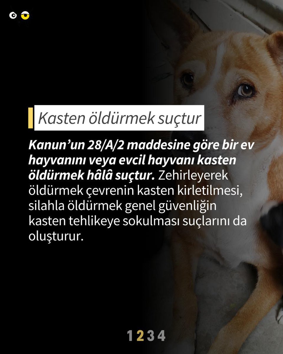 hakim_komite's tweet photo. ÖNEMLİ DUYURU

Hayvanları Koruma Kanunu’nda yapılan değişiklikler yürürlüğe girmiş olsa da, 

Kanun’un 28/A/2 maddesine göre bir ev hayvanını veya evcil hayvanı kasten öldürmek hâlâ suçtur. Zehirleyerek öldürmek çevrenin kasten kirletilmesi, silahla öldürmek genel güvenliğin kasten tehlikeye sokulması suçlarını da oluşturur. 

Hayvanların toplanması esnasında eziyet verici davranışlarda bulunan kamu görevlileri de 28/A/4 uyarınca hayvana işkence etme suçunu işlemiş olur. Suç işlendiği bir durumda bunu engellemek kamu görevlisini engellemek olarak değerlendirilemez. 

Tüm bu durumlarda fotoğraf veya video kaydı almak kişisel verilerin ihlâli anlamına gelmemektedir. Lütfen böyle durumlarla karşılaştırdığınızda suçu delillendirin ve Cumhuriyet Başsavcılığına başvurarak suç duyurusunda bulunun. #SokaktayımYanındayım