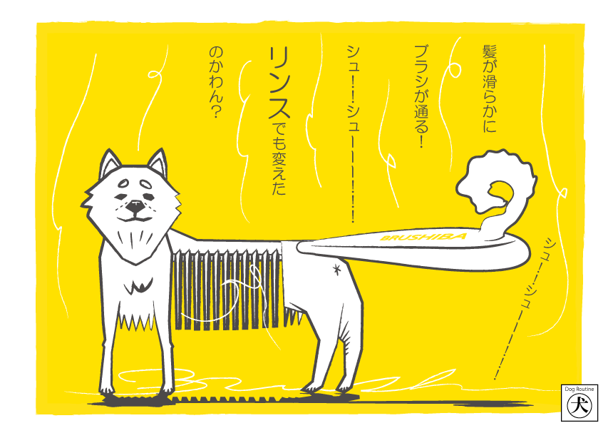 dog_routine's tweet image. 2024/9/19(木)　ブラシバ

お気に入りのイラストを保存してほしいわん！
#犬 #ドッグルーティーン #DogRoutine #わん #犬のいる暮らし #犬の気持ち #dog #柴犬 #柴犬のいる暮らし