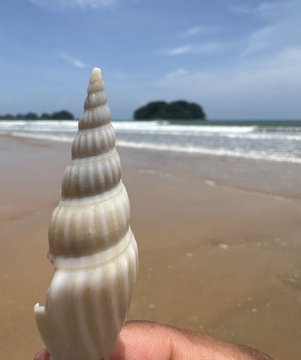 taovacano's tweet photo. #mathsabdsea from #Thailand, en vacances je vous laisse imaginer les questions #mathsenvie pour vos élèves ;) https://t.co/i25jN8t3Wu
