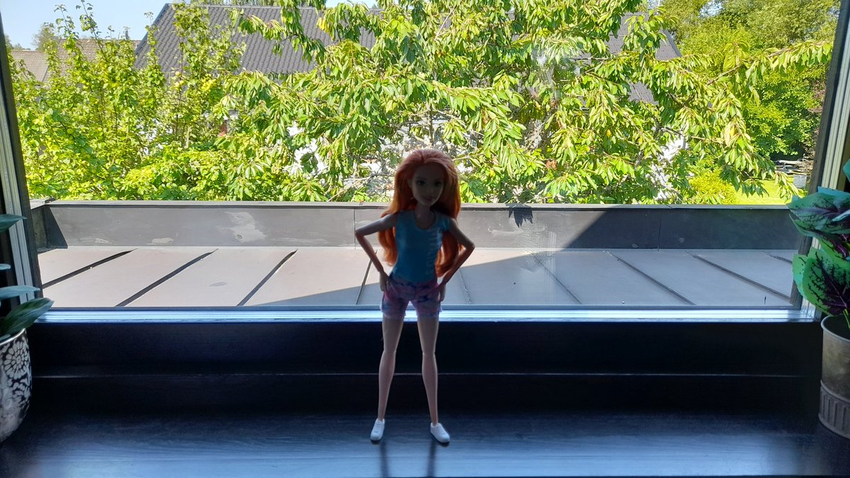 SwedishGamester's tweet photo. Got some more #work to do in the #garden today! A couple of branches of the #CherryTree is hanging over the roof so I need to cut them off. Also have to rise the #GardenArch back up, it fell down during a #storm so I need to anchor it somehow.
#Barbie #ToyPhotography https://t.co/EQHvLD3mTV