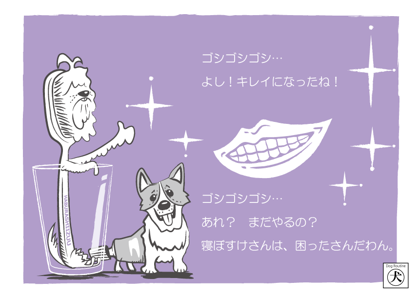 dog_routine's tweet image. 2024/9/23(月)　ハブラシーズー＆ハミガキコーギー

お気に入りのイラストを保存してほしいわん！
#犬のいる暮らし #ドッグルーティーン #DogRoutine #わん #犬のいる暮らし #犬の気持ち #dog #シュナウザー #ウィルシュコーギー #ShihTzu #WelshCorgi