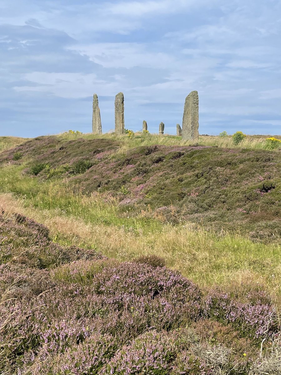 Orkney Ranger Sandra tweet media