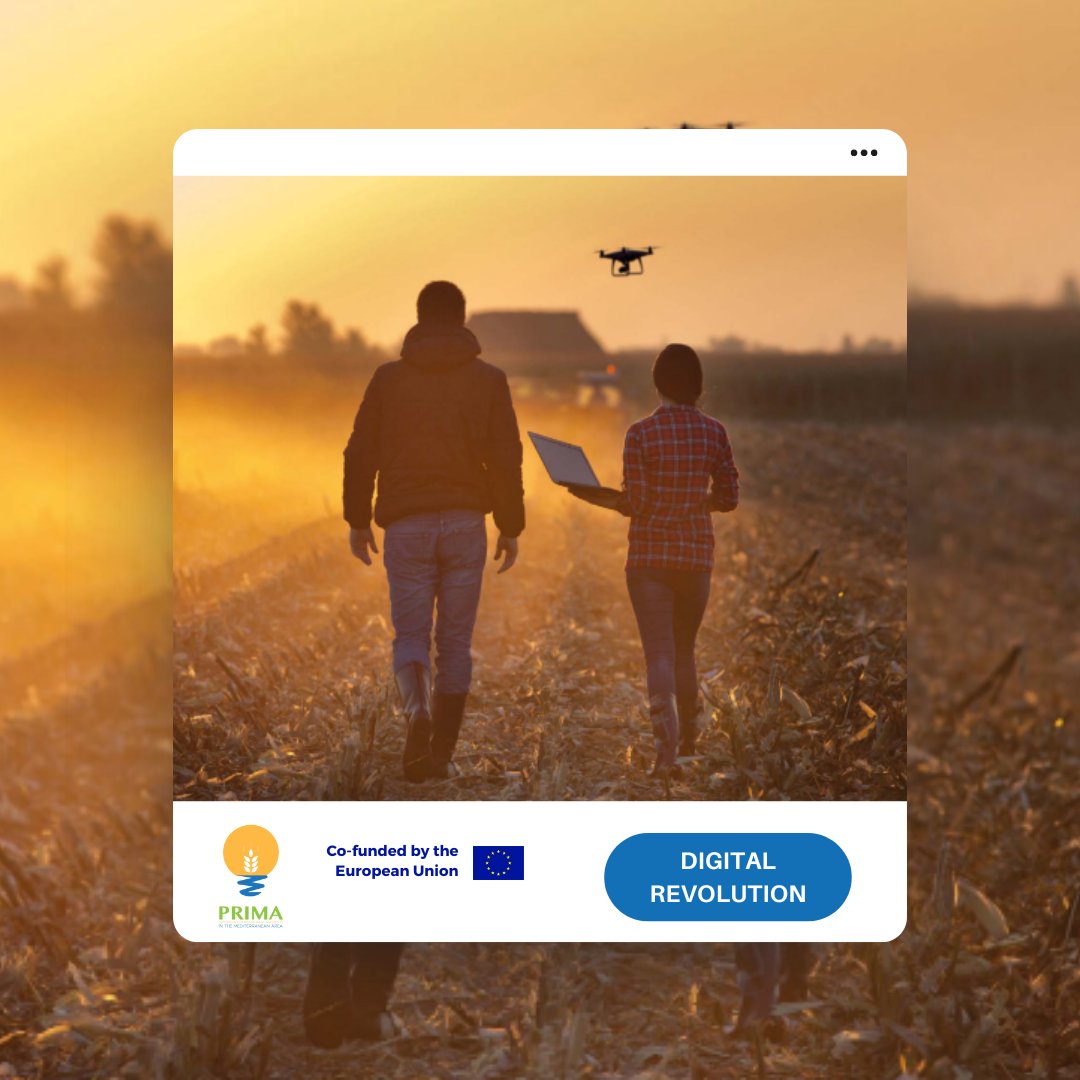 PrimaProgram's tweet image. 🚀 Summer Spotlight: Digital Revolution 🌐
The digital age is transforming how we manage resources and drive innovation. PRIMA is at the forefront of integrating cutting-edge digital technologies into agri-food systems and water management 📊🔍