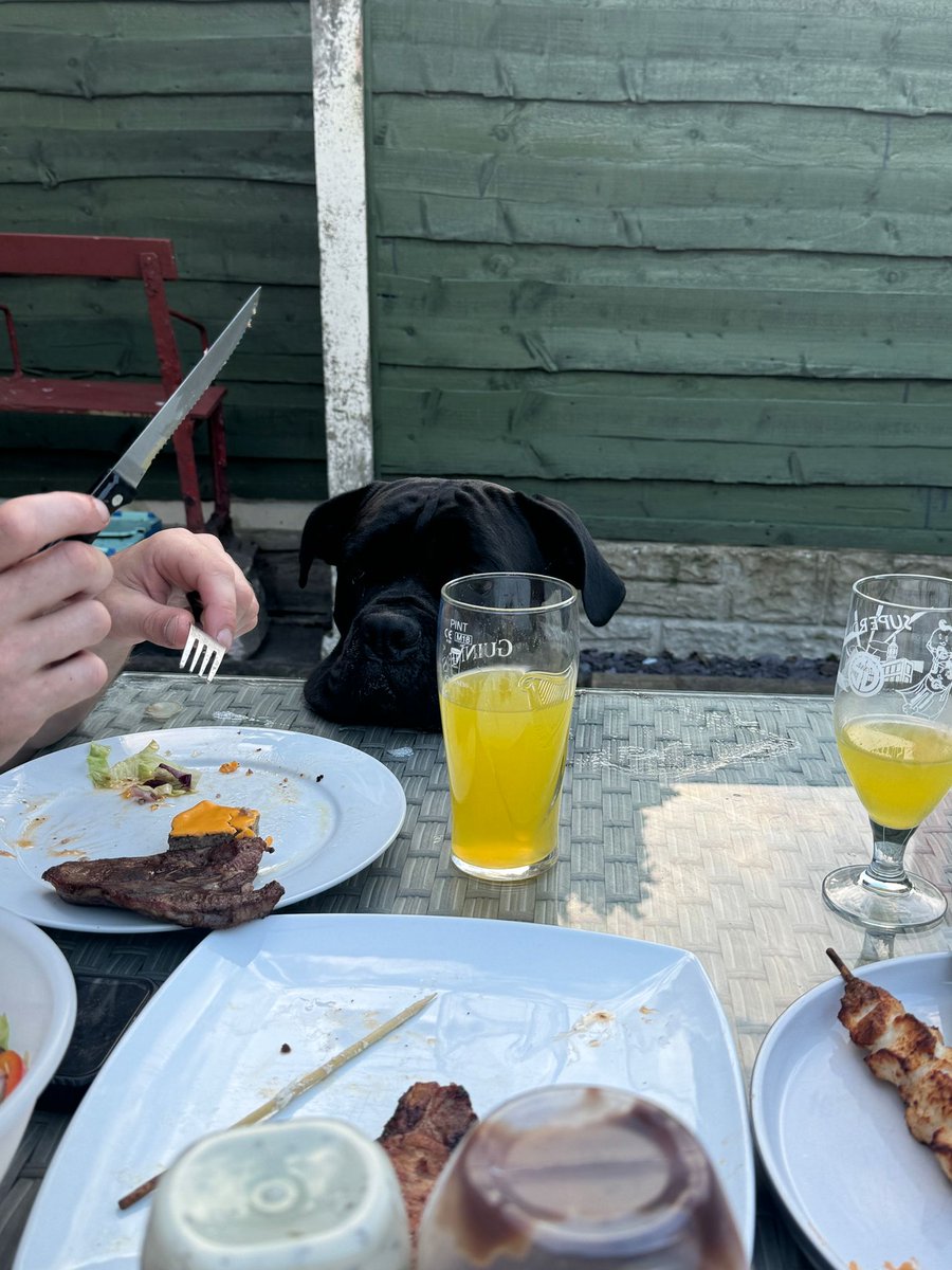 #lennylonglegs thinks he's getting some of his Daddy's steak 🥩,