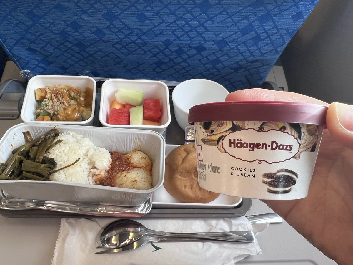 ryojalan's tweet photo. そう言えば今回何気なく乗ったキャセイパシフィック航空の機内食でハーゲンダッツが出てきたのは驚きでした…笑 機内も快適で個人的には推しの航空会社になりました✈️ https://t.co/acP0b5mBci