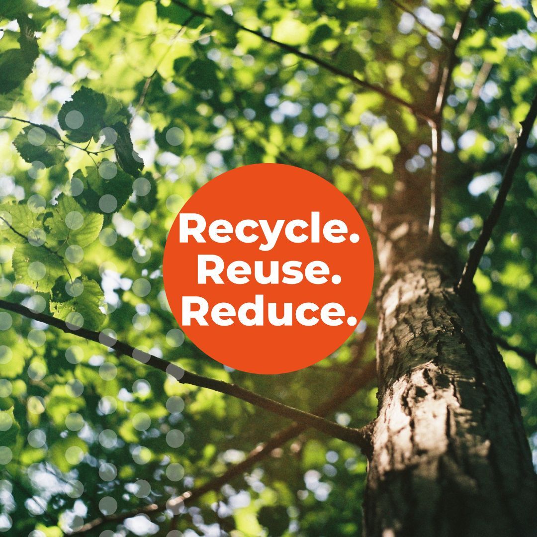 profylecard's tweet image. Enhance your team’s networking with Profyle’s digital business cards! 🌟 Smart, sustainable, and feature-packed. Ditch paper cards and go digital today! go.profyle.cards/Ab2gUb 
#DigitalBusinessCards #Sustainability #Networking #Innovation