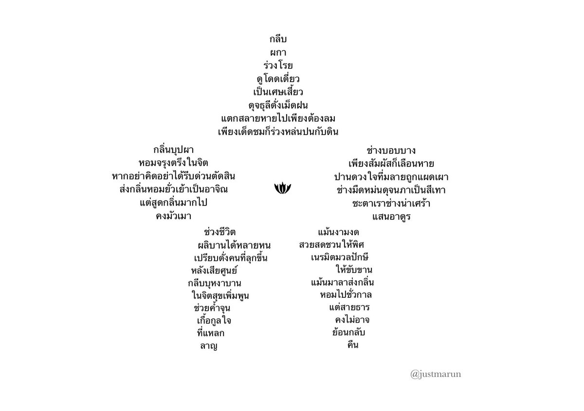MARUN tweet media