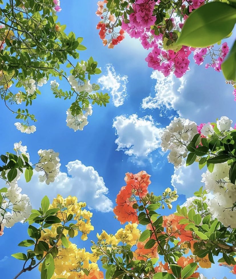 greenvibe's tweet image. 