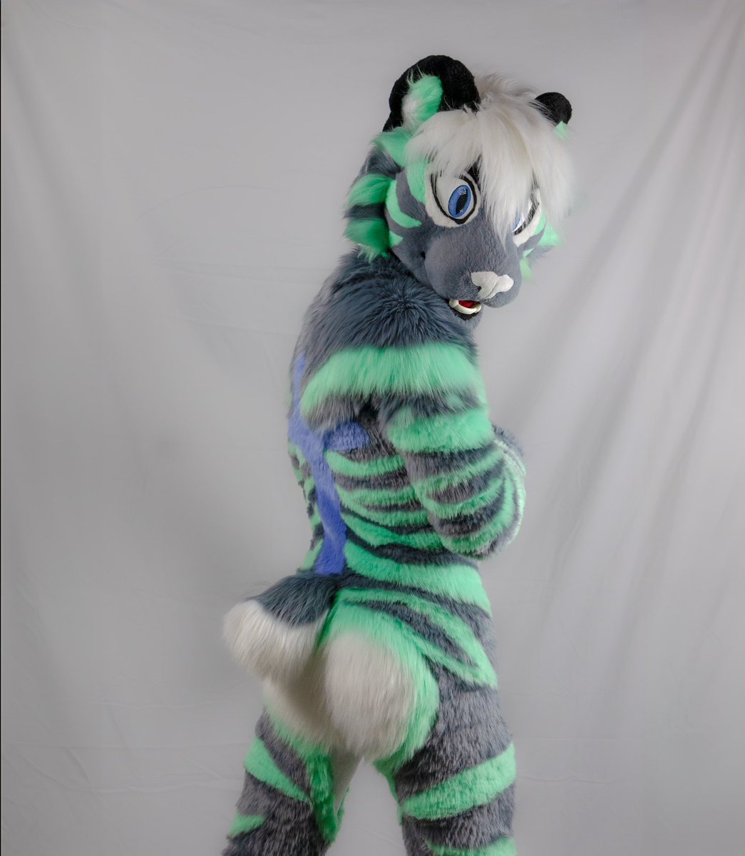 Werovester's tweet photo. Give a warm welcome to Mint Amaris❕❕Made by Cherry bomb, (myself) 
#tigerfursuit #fursuit #fursuitmaker https://t.co/DMRrYnoDOM