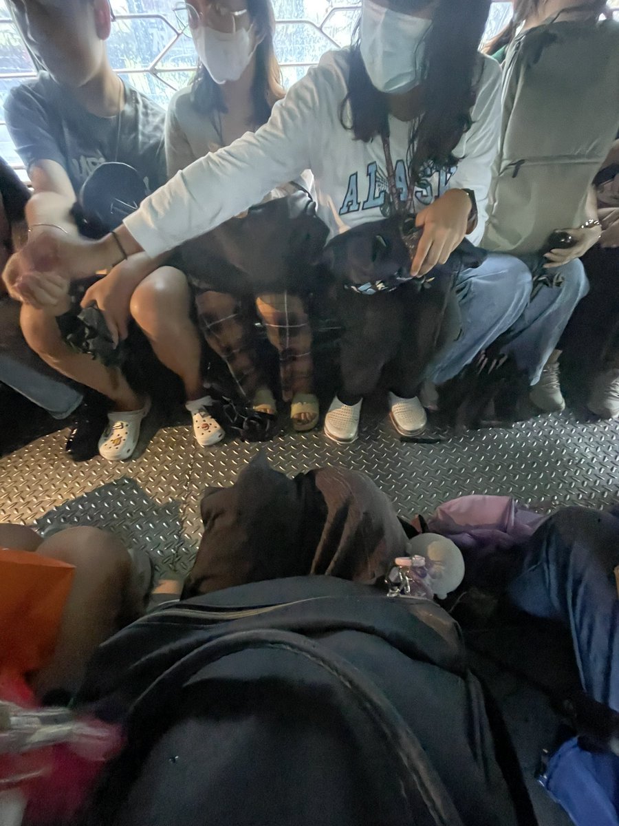 jaelat0's tweet image. nung maulan sa diliman 🌂🌧️ 
#archivetwt #notojeepneyphaseout