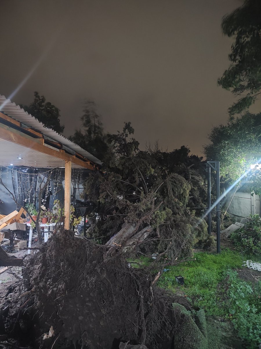 NicolMoragaR's tweet photo. Caída de pino de 35 años en mi casa 😔

#puentealto #Santiago #viento #Temporal #regionmetropolitana https://t.co/8waHqCbgBv