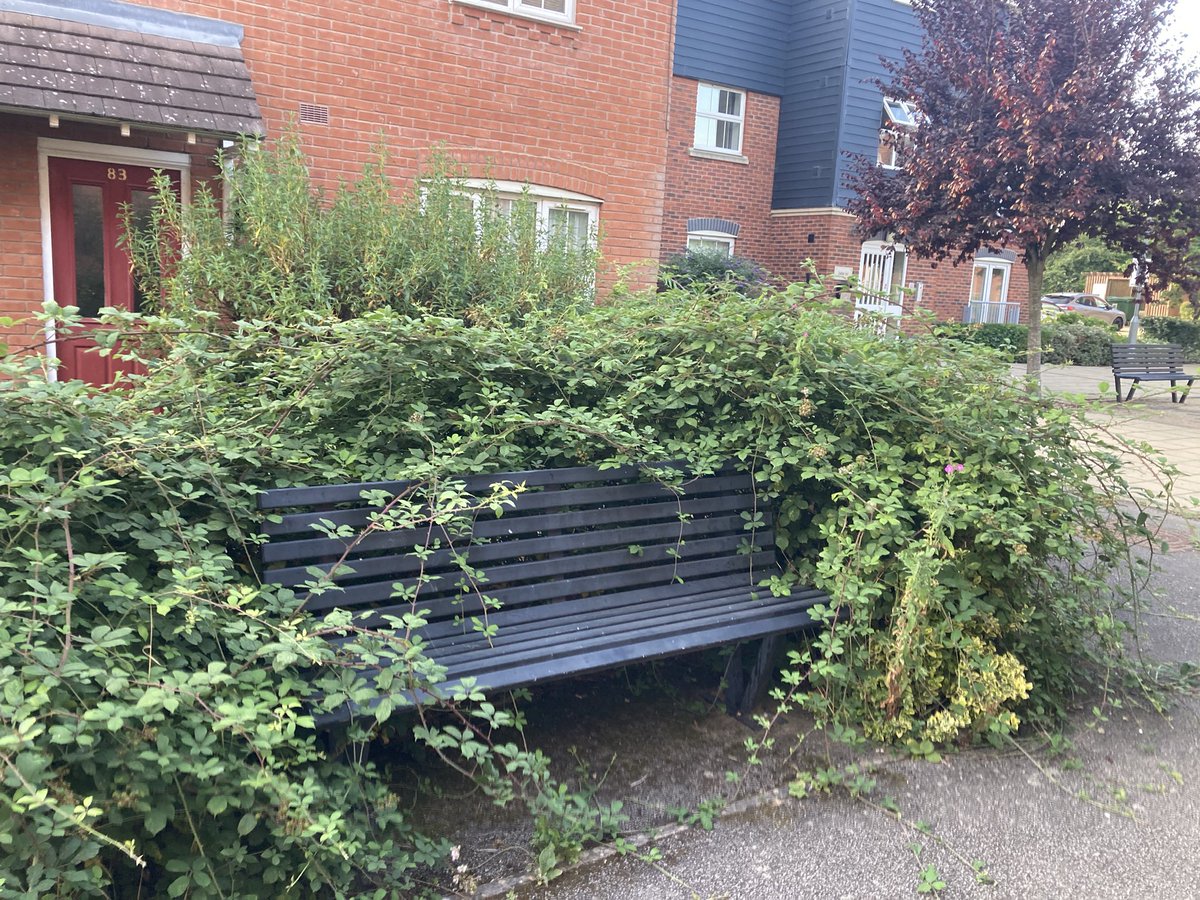 Mike Scott tweet media