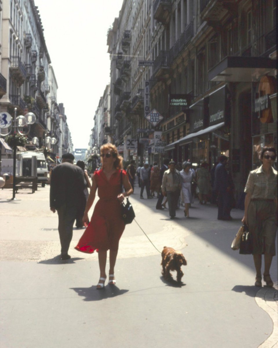 L'Arrière-Cour tweet media