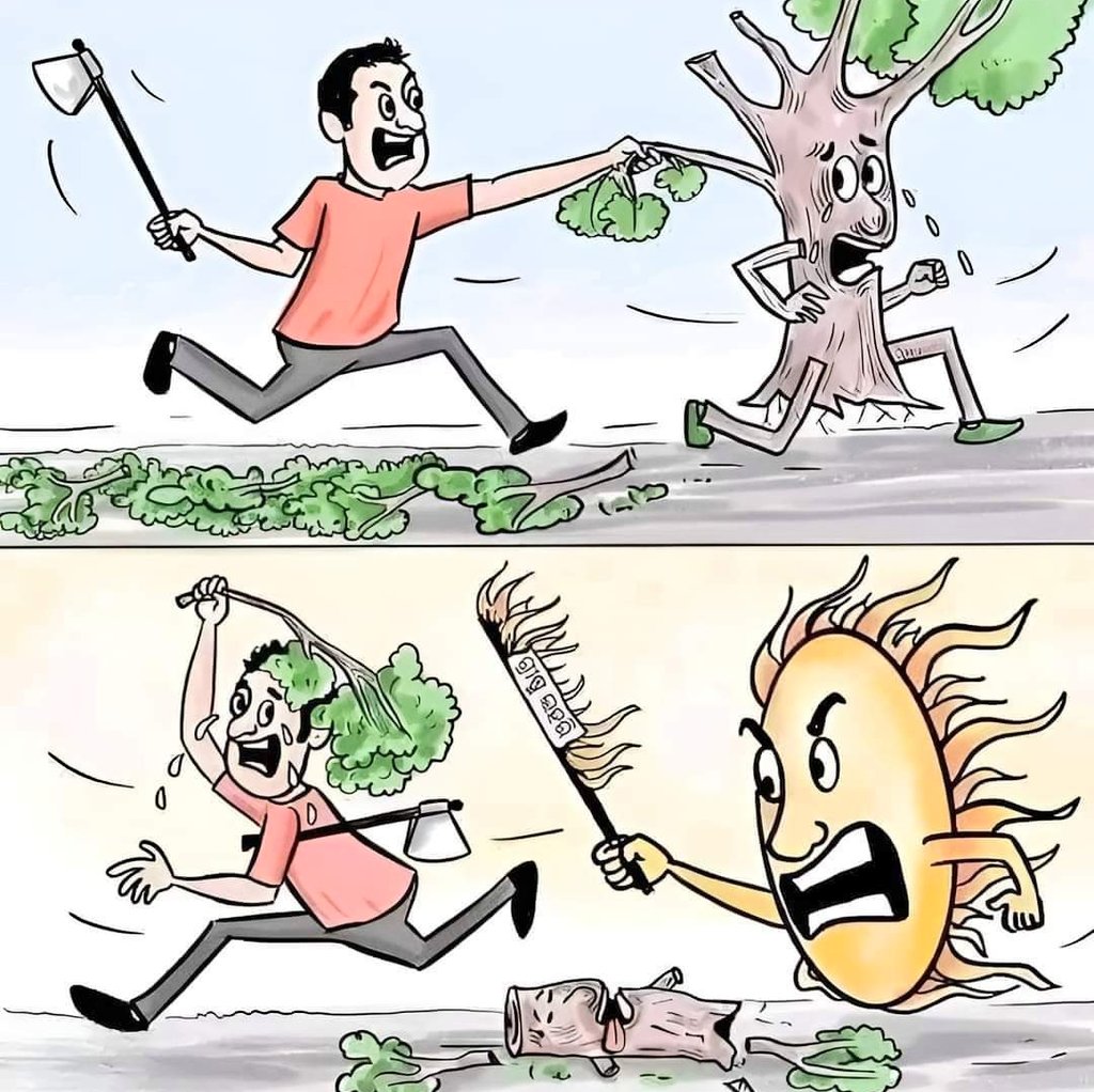 Today's best scenario!
#Nature
#Protectnature 
#Saveearth