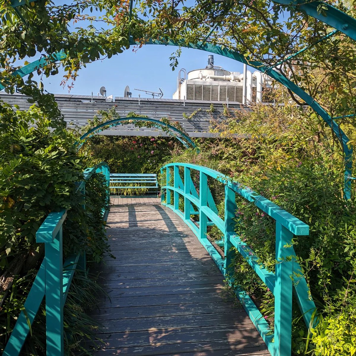 食と緑の空中庭園 2024年8月1日  秩父に行く前（昼）と帰り（夜）に訪問。 昼と夜で全く違う趣きがあって良かったです! #東京ぶらり #東京の景色 #東京の街 #東京の夜景 #東京観光 #西武池袋本店 #食と緑の空中庭園 #池袋 #ひとり散歩 #東京散歩 #夜景 #夜景撮影 #夜景スポット