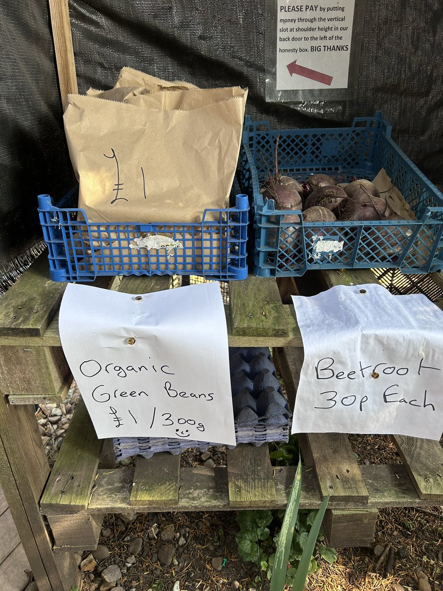 🌱Hello, I'm Mark tweet media