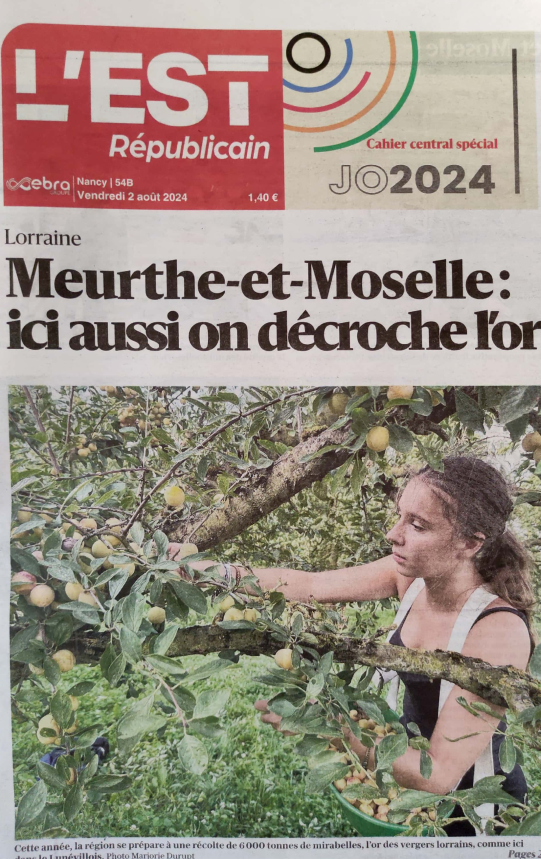 Gendarmerie de la Meurthe-et-Moselle (@gendarmerie_054) on Twitter photo #AlinterieurDesJeux ....
Franchement.... aujourd'hui on n' aura pas mieux .... Le CM de <a href="/Gendarmerie_054/">Gendarmerie de la Meurthe-et-Moselle</a> peut déjà partir en WE !!
Merci <a href="/lestrepublicain/">L'Est Républicain</a>!!....#MirabellesdeLorraine #AlinterieurDesJeux ....
Franchement.... aujourd'hui on n' aura pas mieux .... Le CM de <a href="/Gendarmerie_054/">Gendarmerie de la Meurthe-et-Moselle</a> peut déjà partir en WE !!
Merci <a href="/lestrepublicain/">L'Est Républicain</a>!!....#MirabellesdeLorraine