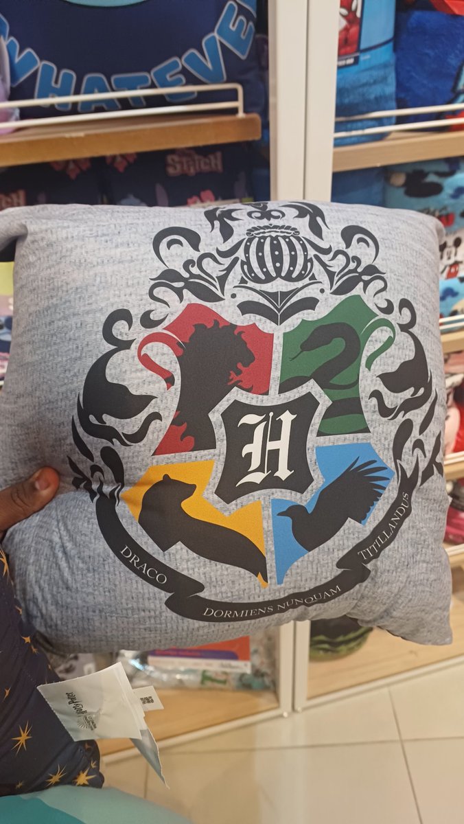 Gabriel chokko 🥾🍪🐔 tweet media