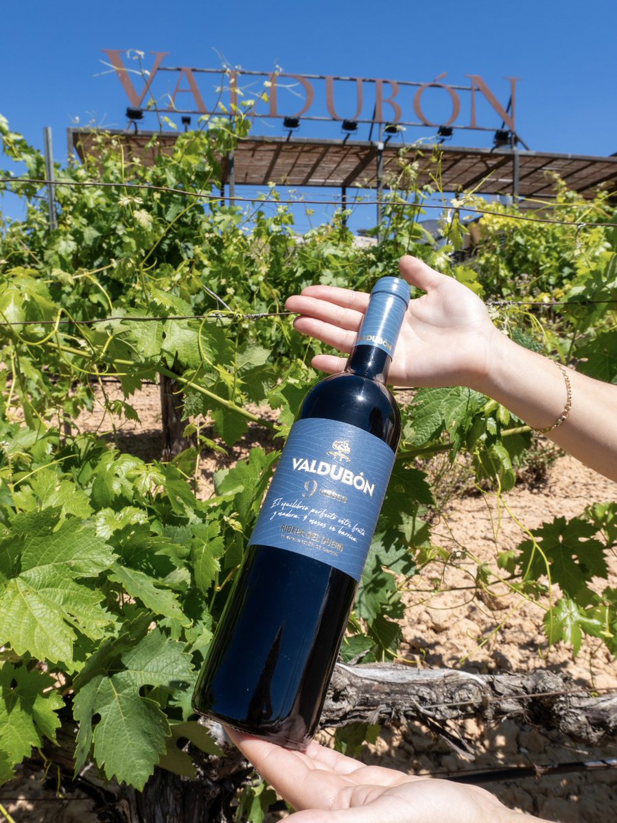 🍷 Nuestro Valdubón 9 Meses es un tinto perfecto para verano. 🌞

Buscábamos el equilibrio perfecto entre fruta y madera, y con nuestro Valdubón 9 Meses de la Ribera del Duero lo hemos conseguido. Lo has probado ya? 😍

👉 ferrerwines.com/producto/valdu…

⁠
❗ WINE IN MODERATION