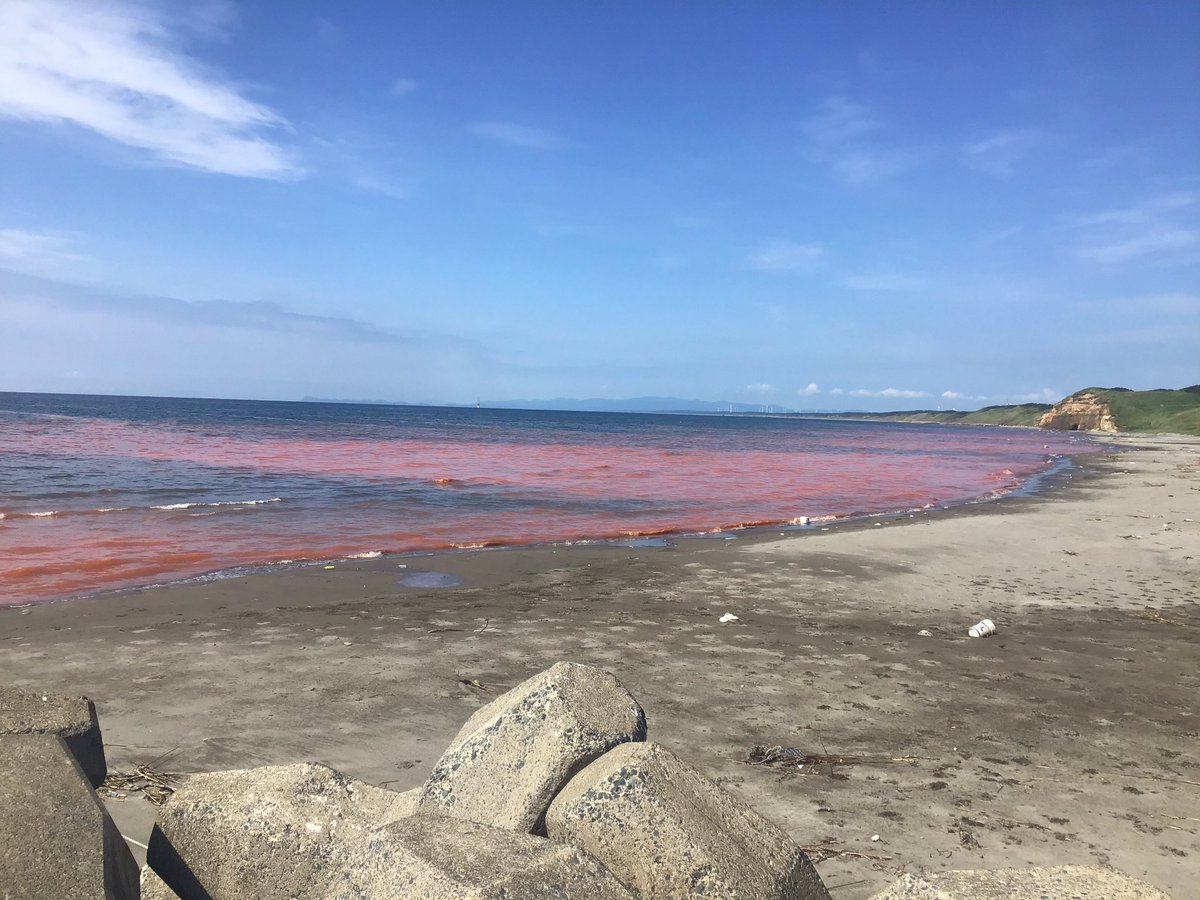 不思議な姉妹 tweet media