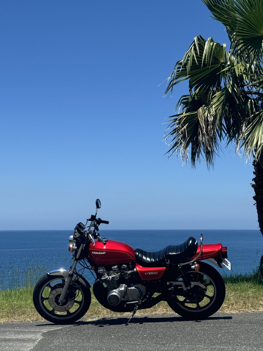 ROUTE202BOY tweet media