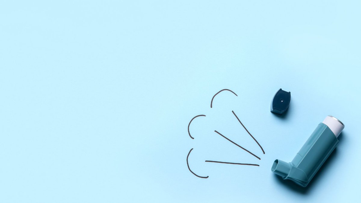 🫁 Se propone un nuevo mecanismo para entender y tratar los ataques de #asma eldiario.es/sociedad/propo… vía <a href="/eldiarioes/">elDiario.es</a>