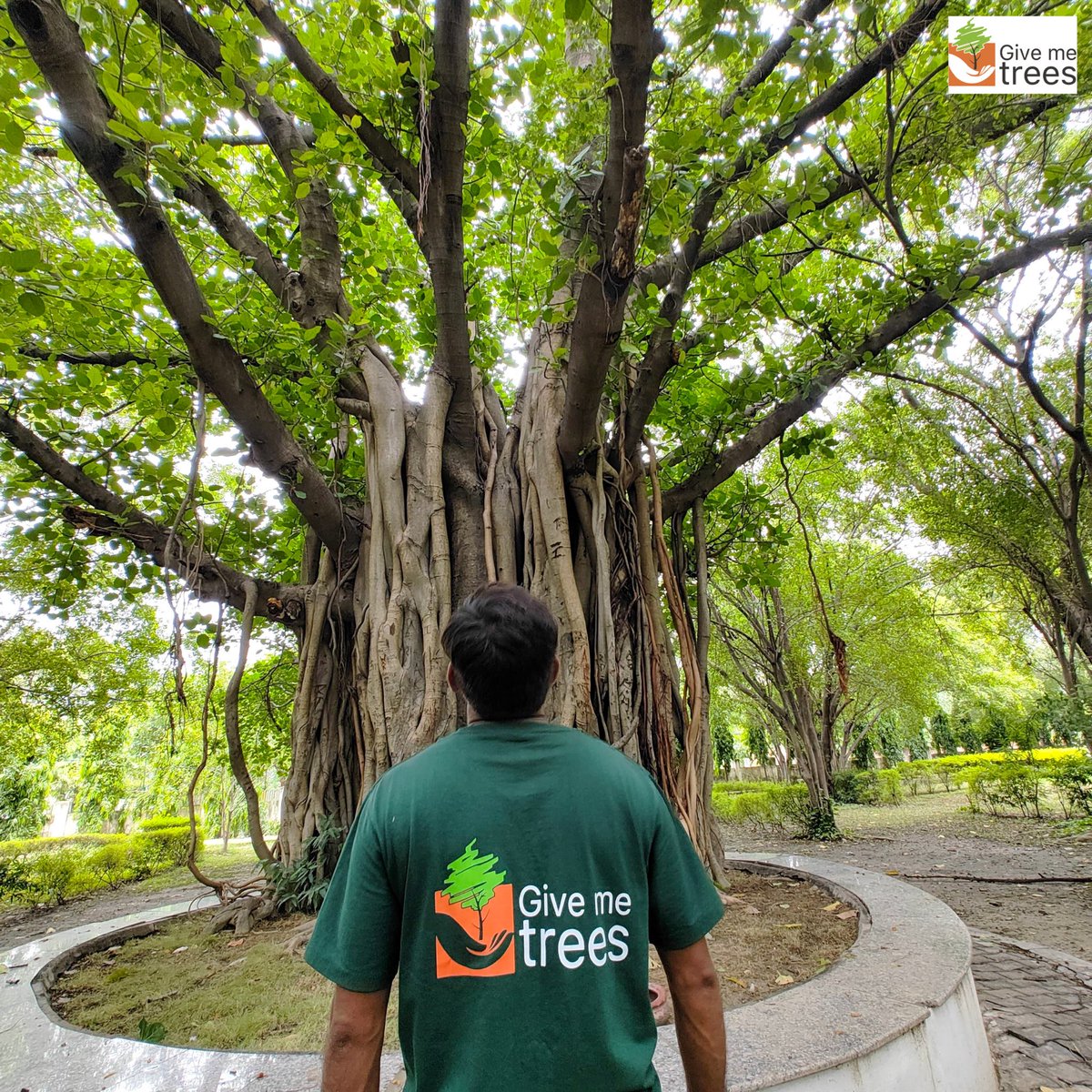 Give Me Trees Trust tweet media