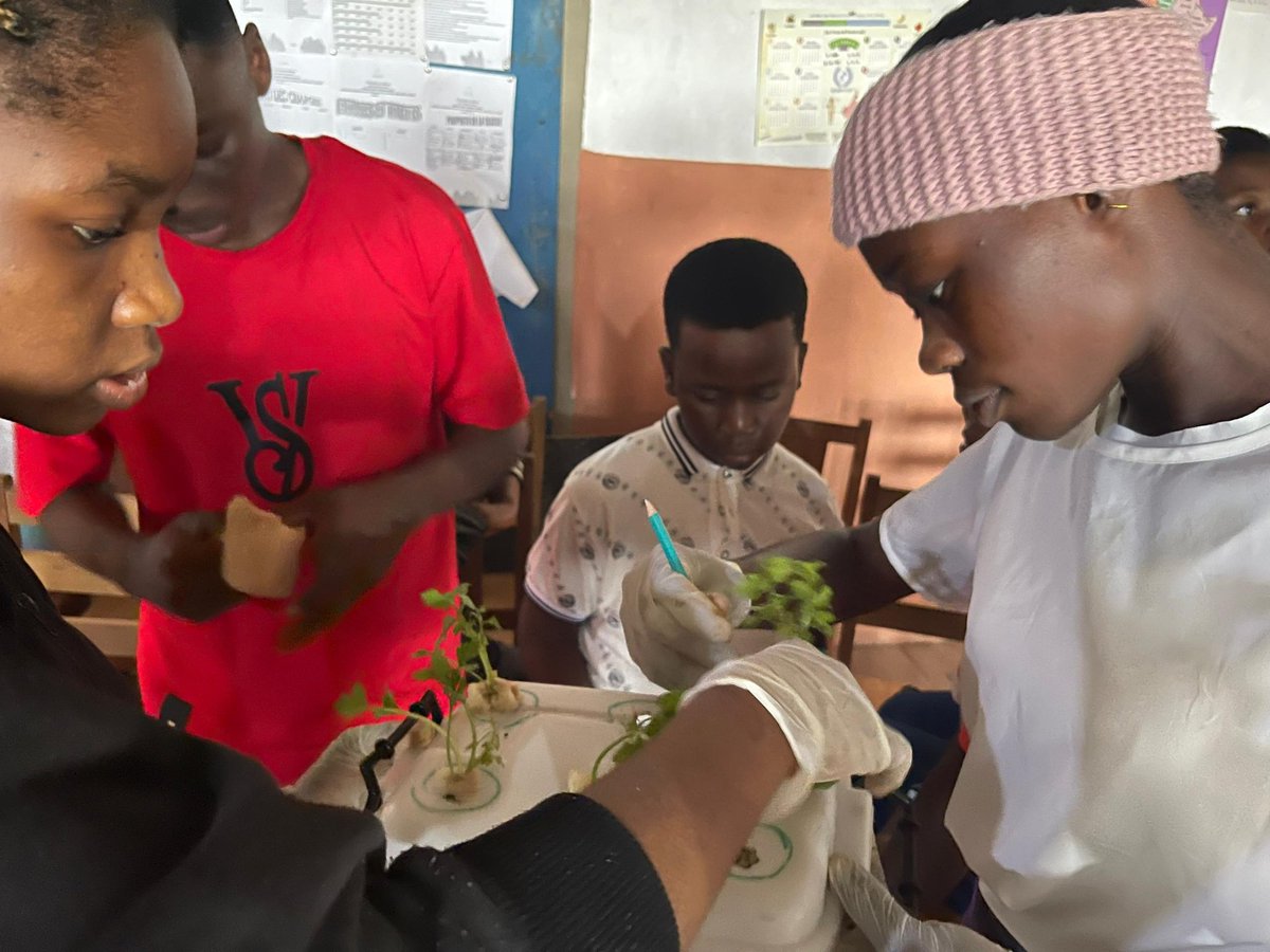 SandrineMitin's tweet photo. In another session of urban gardening, we are doing the hydroponics systems which is the growing of plants on a nutrient-rich solution, typically in water or a soilless growing medium.
#urbanfarming #smartstemacademy #foodsecurity #environmentalawareness @ASOWOS1 @WFP_Cameroon https://t.co/M05L2gDbaY
