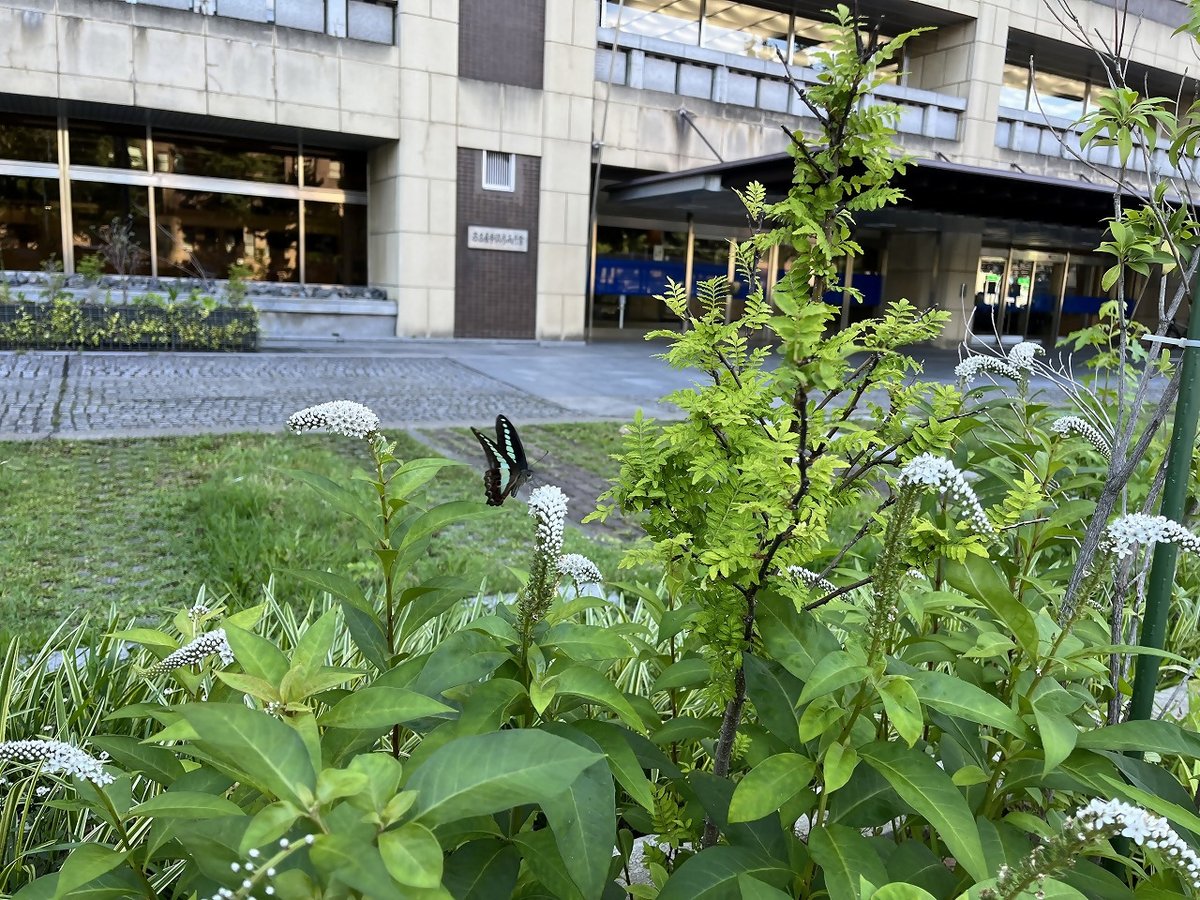 nagoya_koho's tweet image. 🌳 #PositiveAction に挑戦しよう！🌿

Positive Actionとは、なごやの生物多様性を守り、世界中の自然の恵みを持続可能な方法で利用する行動のこと💡
例えば、地元の食材を選んだり、自然の写真を撮ってSNSでシェアしたりすることもPositive Actionなんです🌟

皆さんのPositive