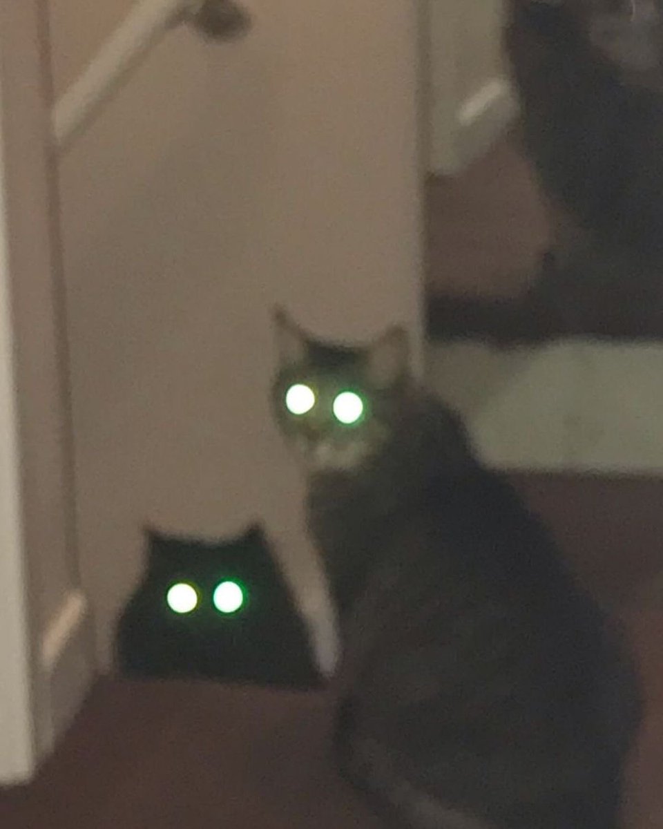onethatrepels's tweet photo. Fighting well into the night, seeing them take off their helmets only to see their dark glowing eyes staring blankly back at ya? https://t.co/eokoKYILei