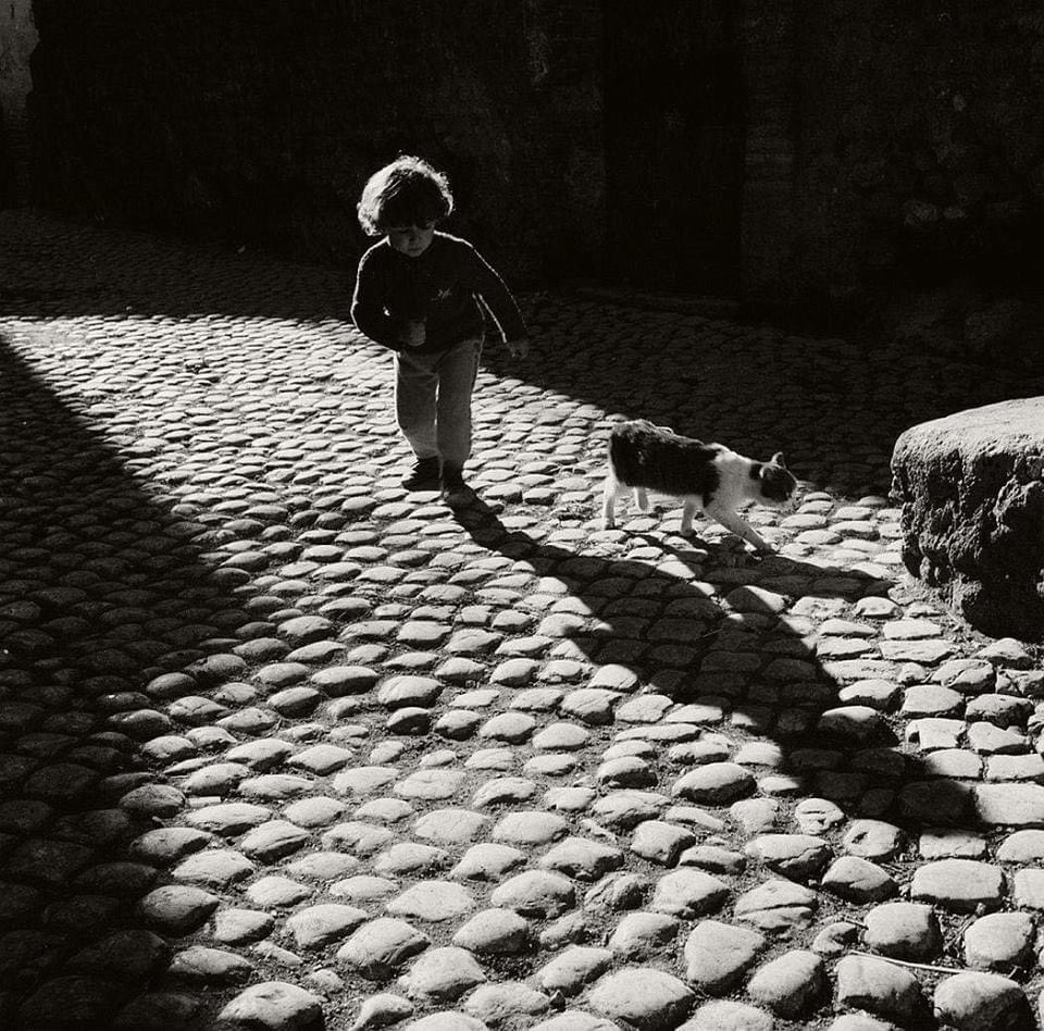 simpleisbeau's tweet image. photography by Bill Perlmutter, 1956

#billperlmutter #simpleisbeautifulphotography