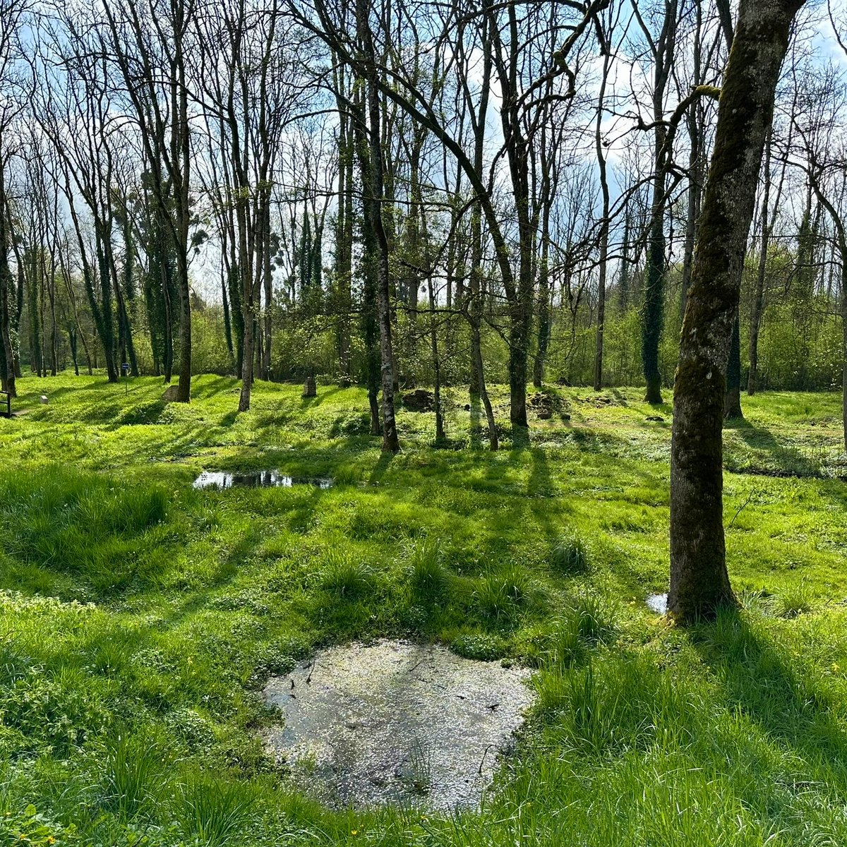 Ri315e's tweet image. #frontlinefriday
Where are we today?

There a clue in the picture if you look in the right place