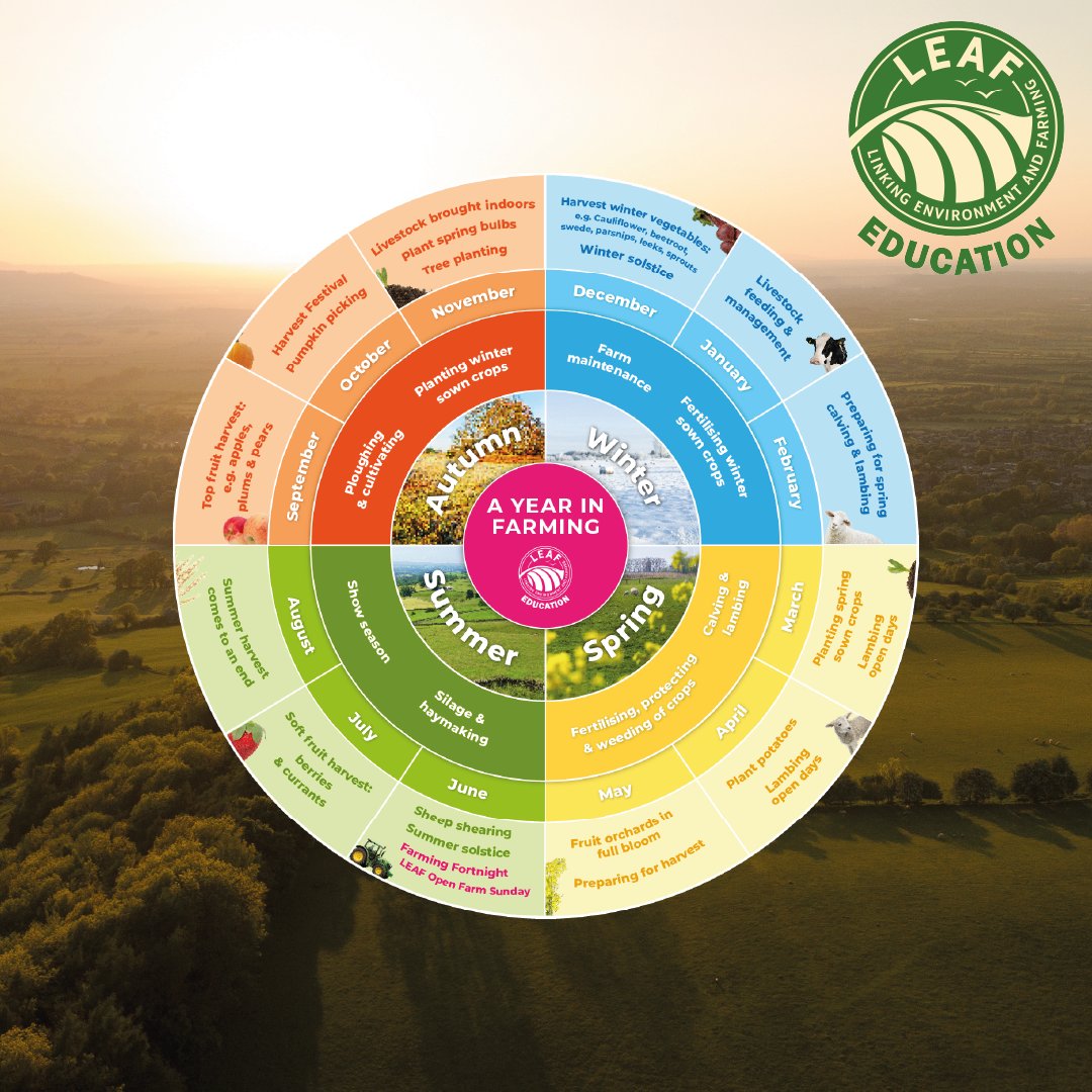 LEAF Education tweet media