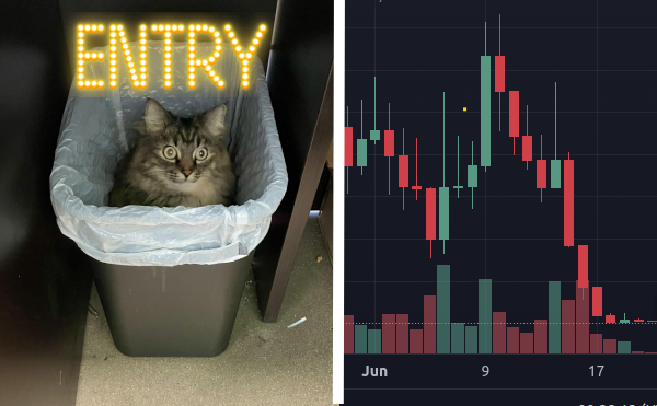 $ENTRY tweet media