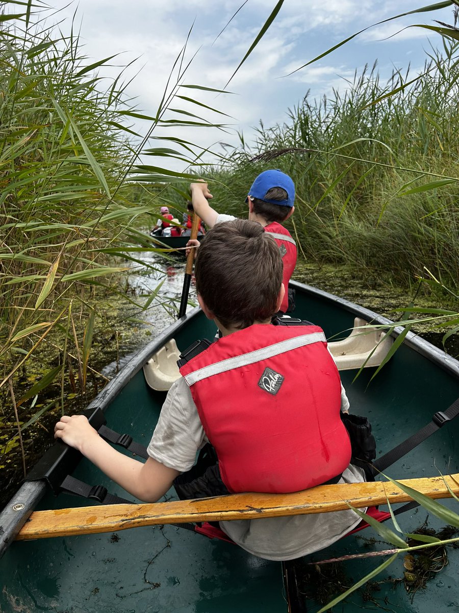 hrainediplock's tweet photo. @WWTLlanelli we had fab time doing the canoe safari this week https://t.co/WjcDxanMmN