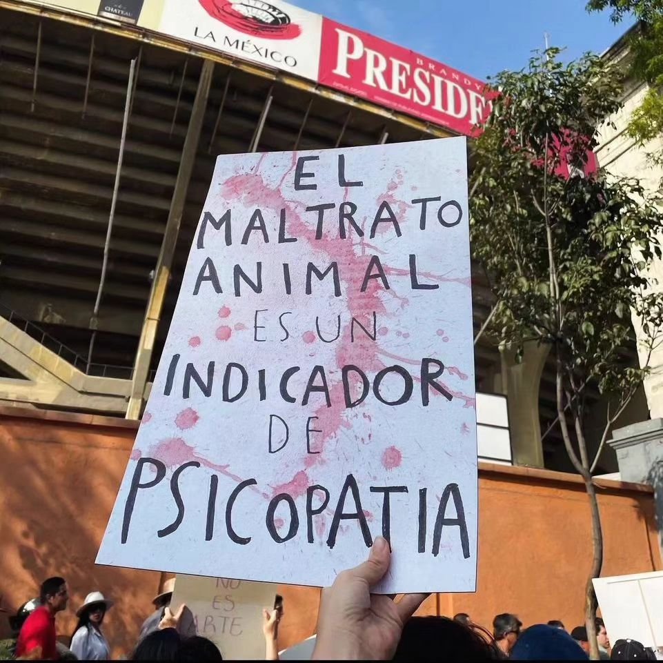 Existe un claro consenso científico alrededor de esta cuestión: La violencia genera violencia.