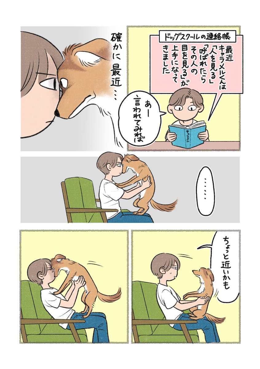 近いね 